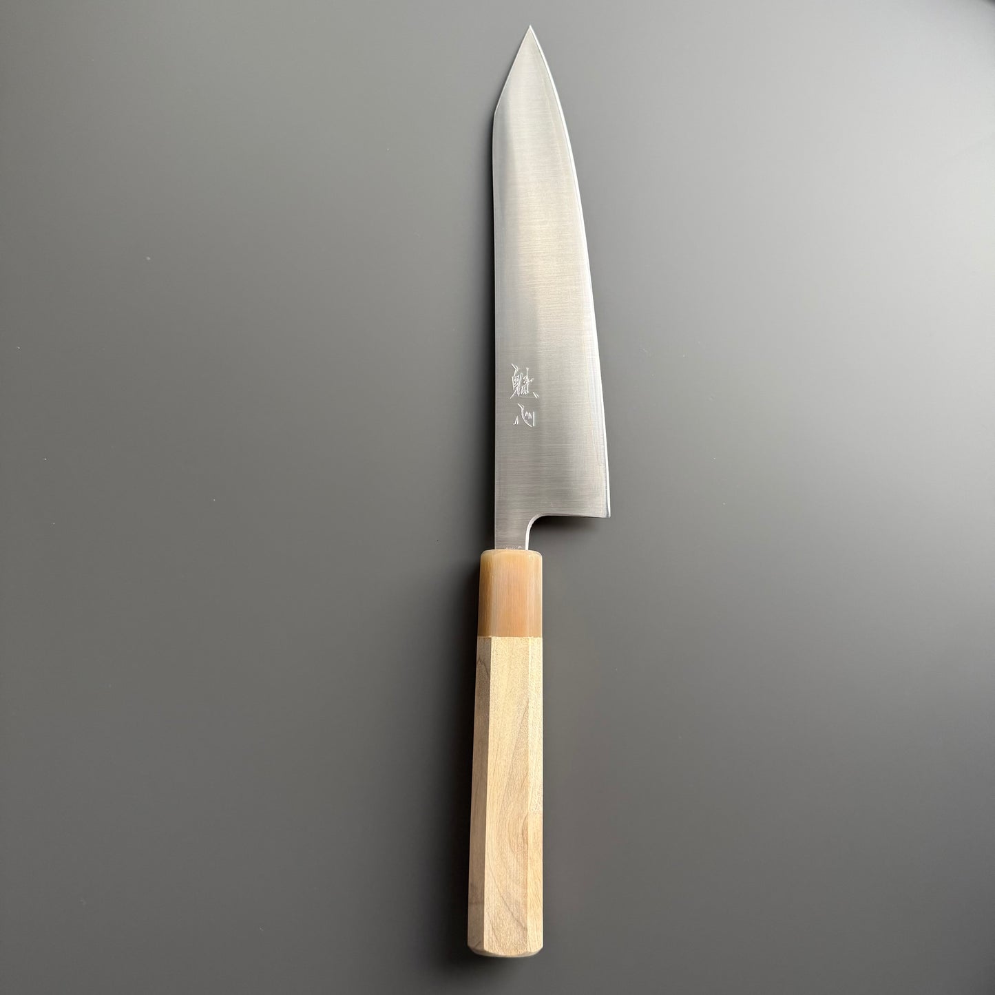 Kaishin Ginsan - Kiritsuke 210mm