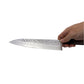Fujin - Gyuto 210mm VG10